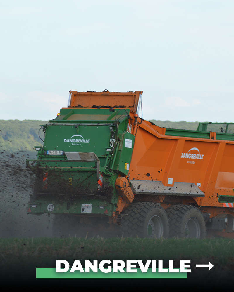 Dangreville