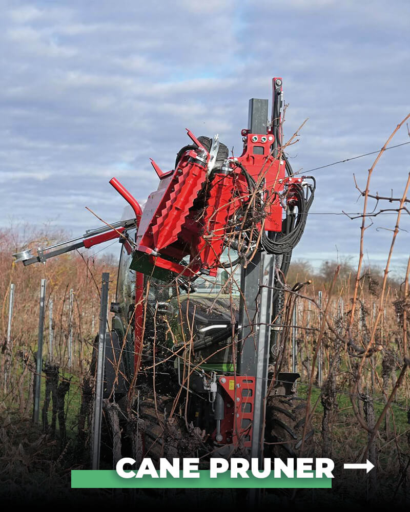 Cane Pruner VITECO